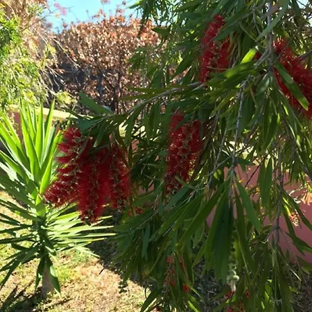 Ocean View Ponta do Pargo