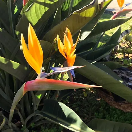 Casa vacanze Ocean View