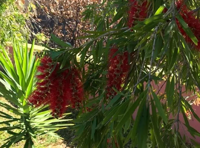 Ocean View Ponta do Pargo